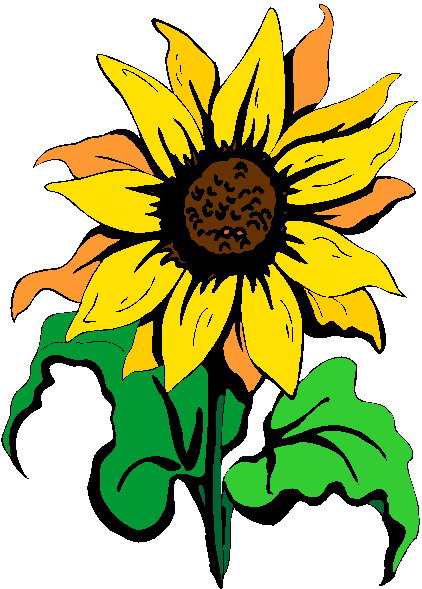 Clip Art - Clip art sunflower 123163