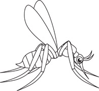 Black And White Insect Clipart