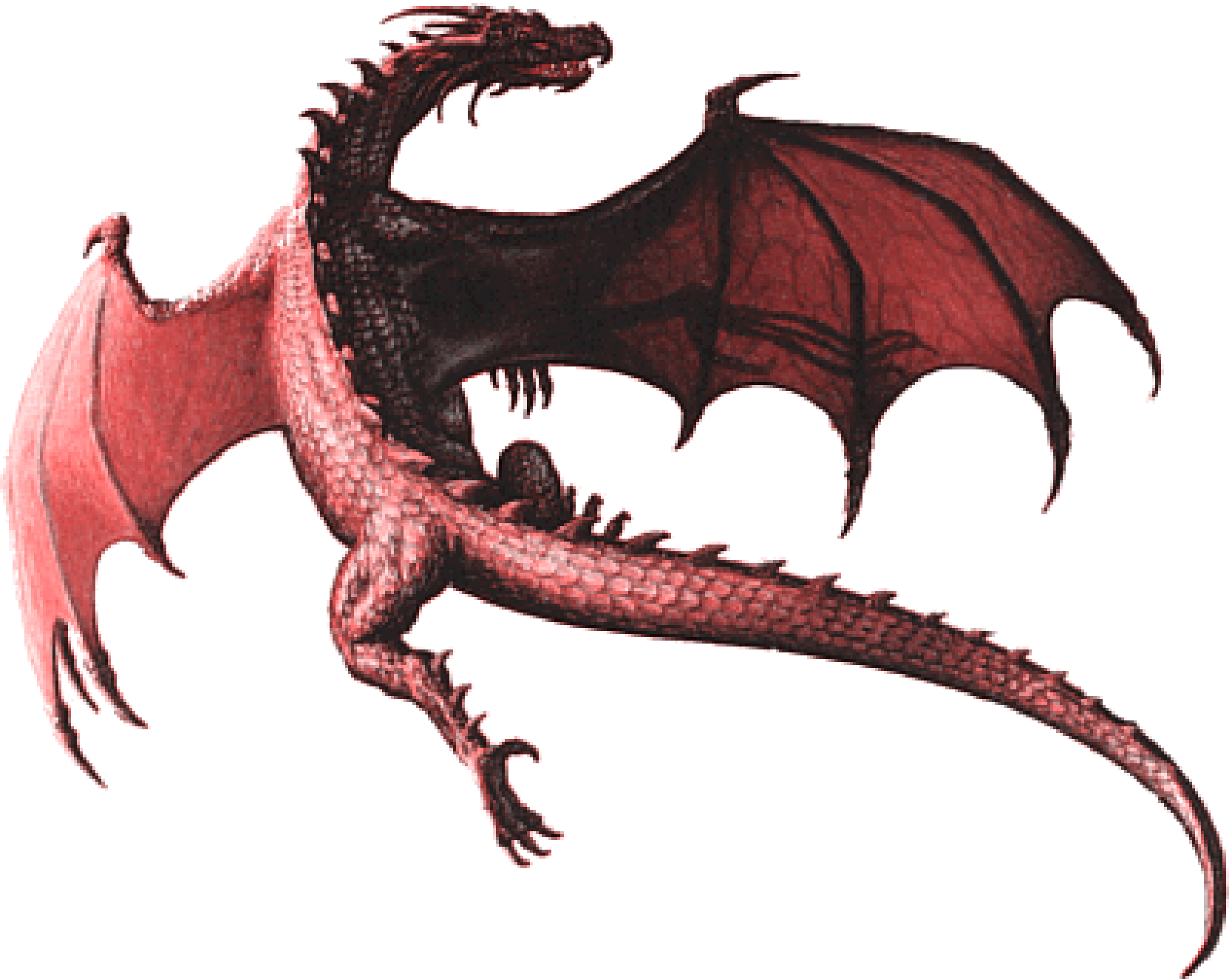 red dragon