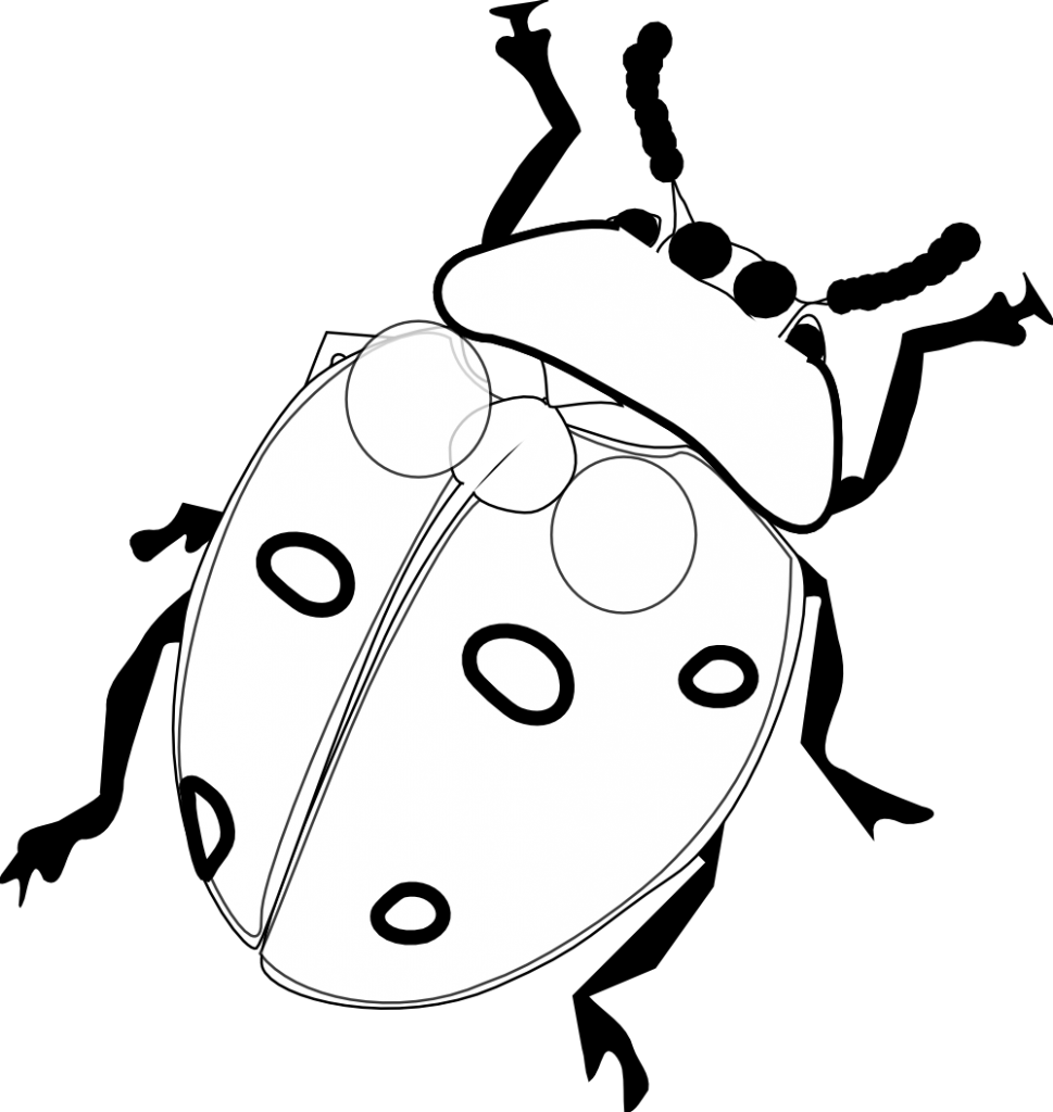 Lady Bug Coloring Pages – Barriee