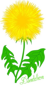 Dandelion Cartoon Clipart