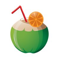 Coconut water Vector Image - 1623173 | StockUnlimited