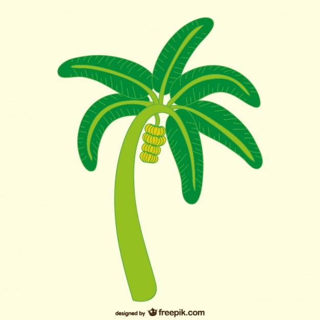 Banana tree illustration Vector | Free Download