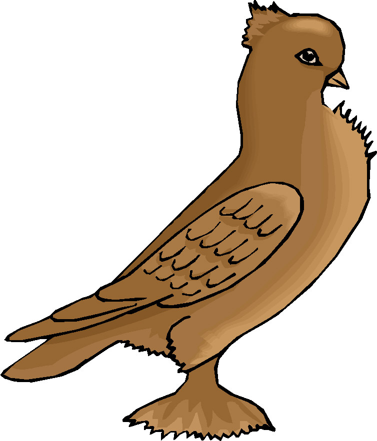 Clay- Pigeon Clipart