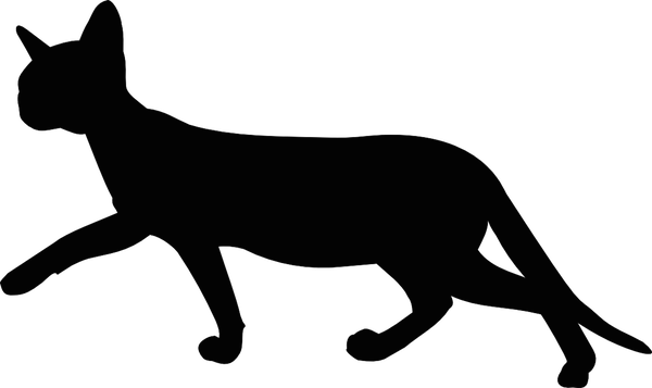 cat walking clip art - photo #19