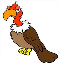 Free Vulture Clipart
