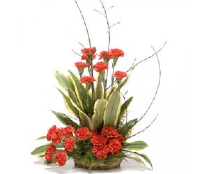 1000+ images about Flower Baskets | Green, Asiatic ...