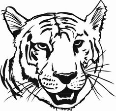 Coloring, Google and A tiger