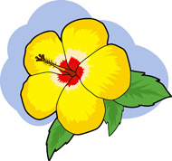 Yellow Hibiscus Hawaii - ClipArt Best
