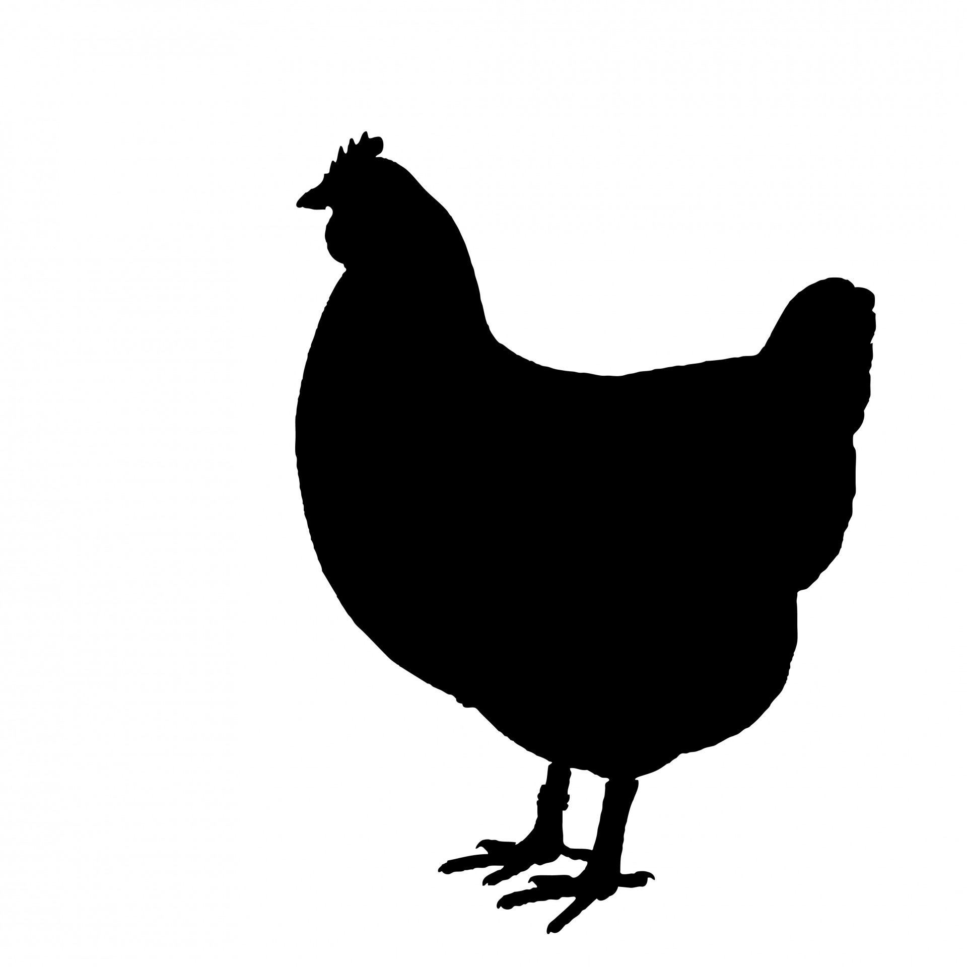 Chicken Silhouette Clipart Images - Public Domain Pictures - Page 1