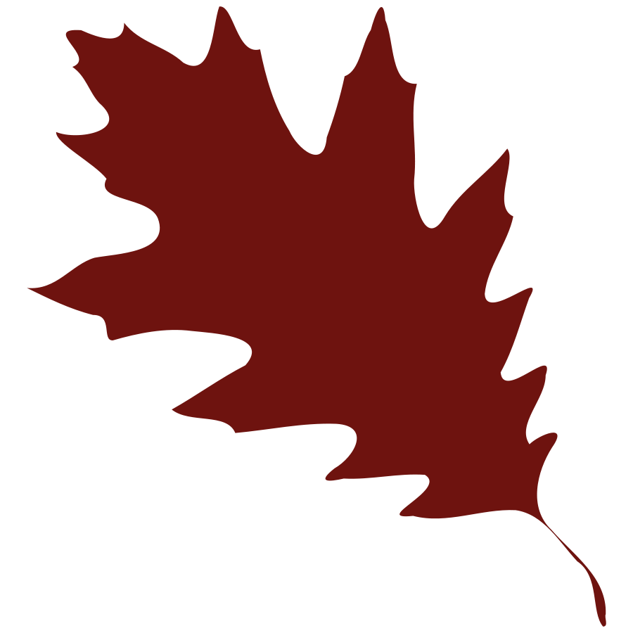 393 views Best Maple Leaf Clip Art #21163 - Clipartion.com