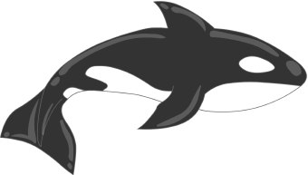 Black whale clipart