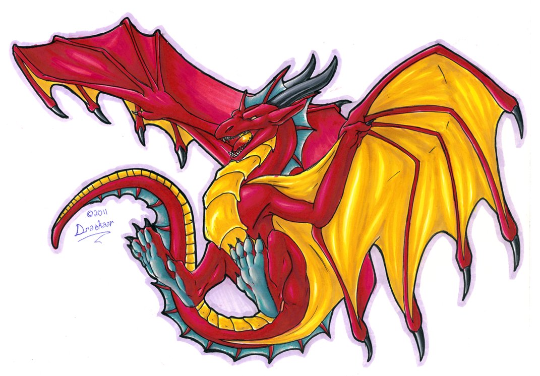 Dragon Print 2 Colour by Draconigenae666 on DeviantArt