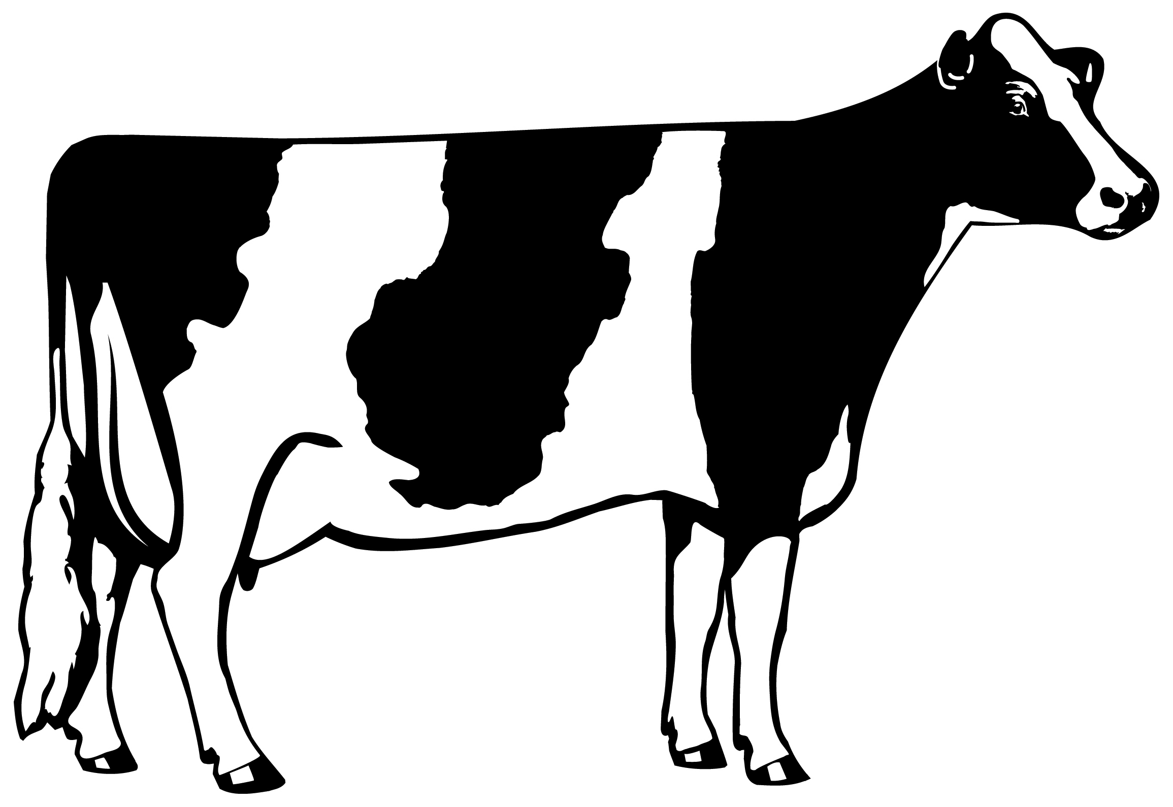 Cow Clip Art Black And White - Free Clipart Images
