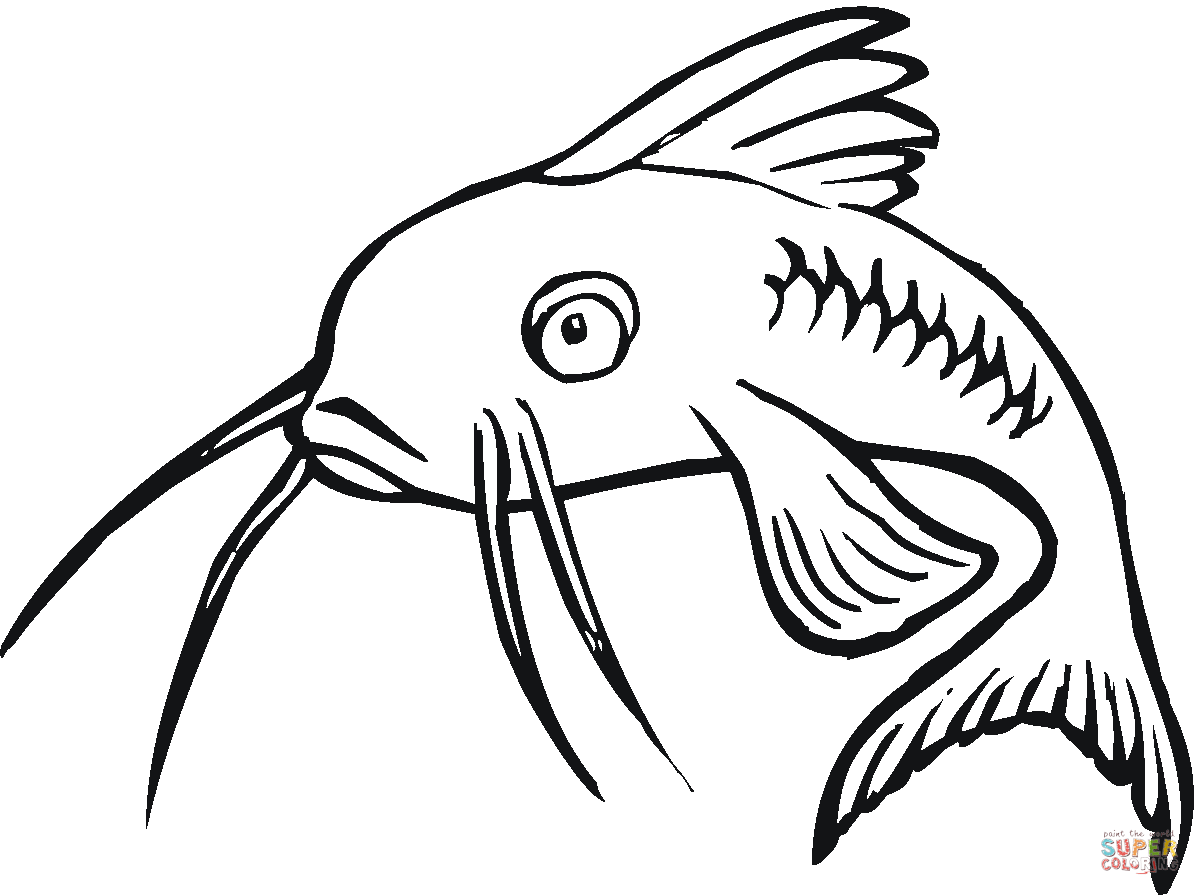 Catfish Drawings ClipArt Best