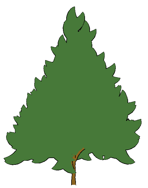 Cartoon Pine Trees - ClipArt Best