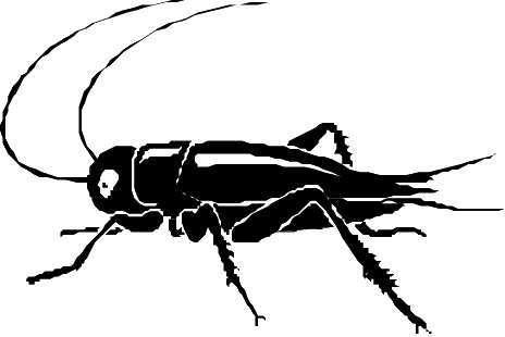 Insect cricket clipart - ClipartFox