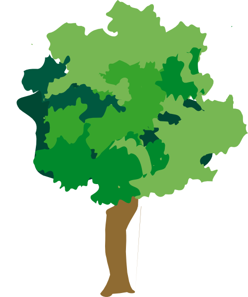 Rainforest Tree Clipart