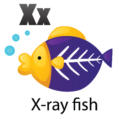 Animal Alphabet - X for X-Ray Fish | Clipart | The Arts | Image ...