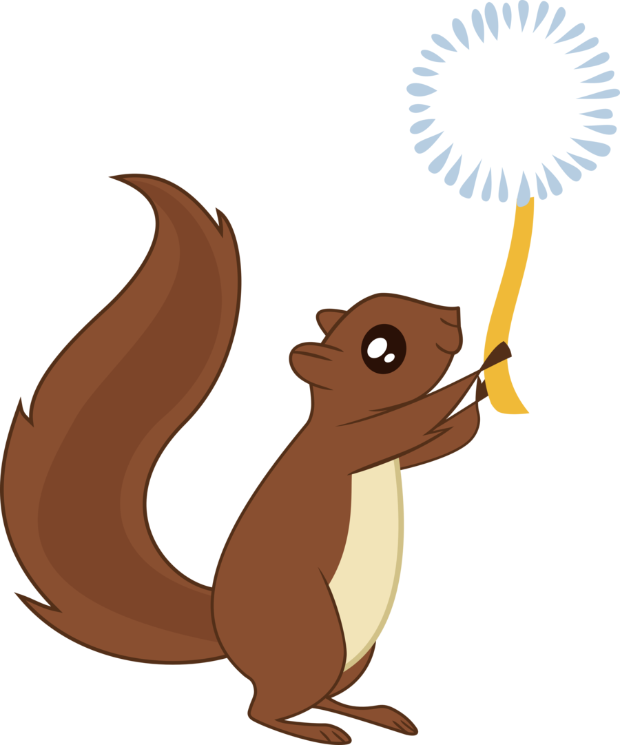 1000+ images about Squirrel!