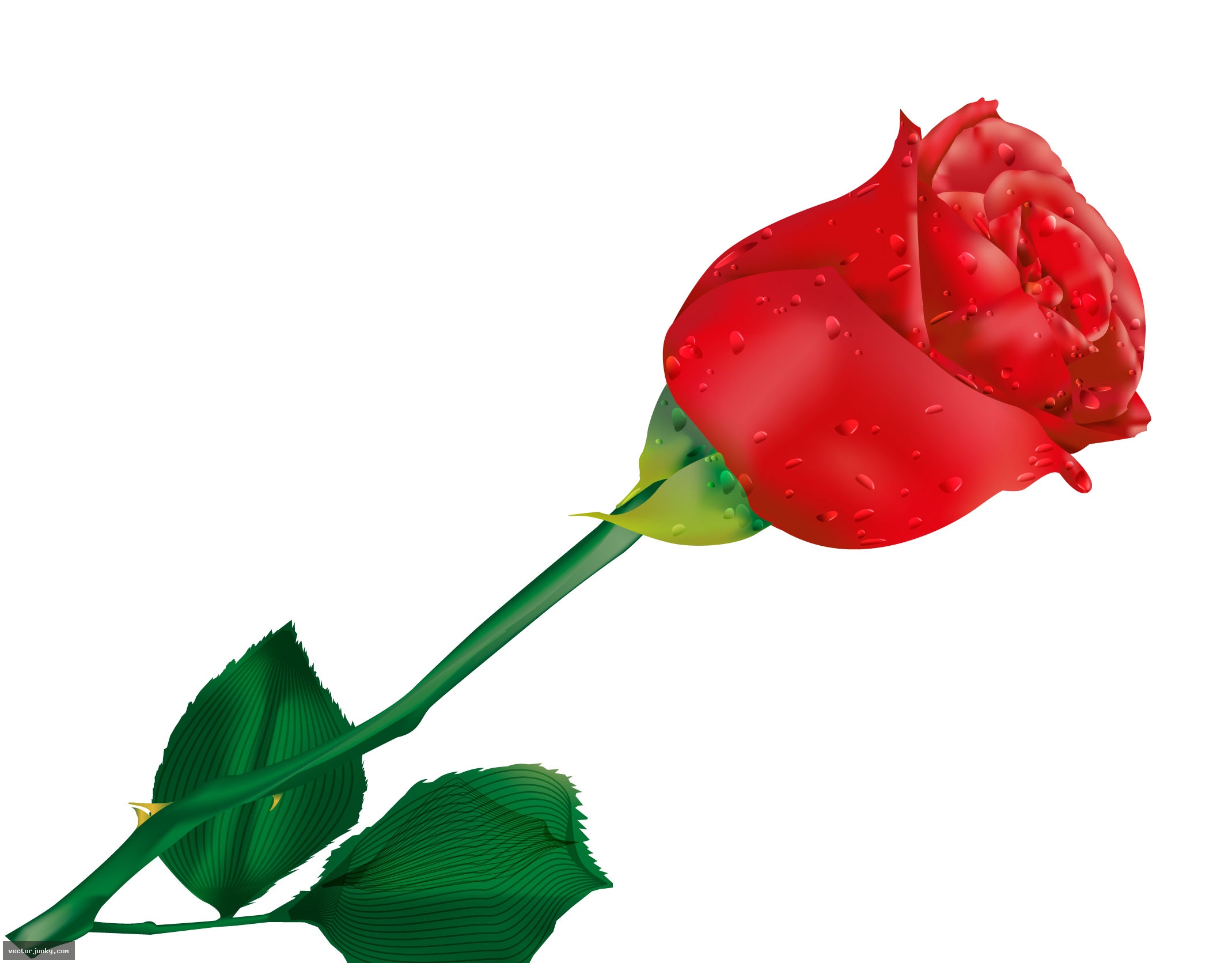 red rose clipart Roses are red, violets are blue... leaves and. 