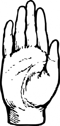 Hand Palm Outline - Free Clipart Images