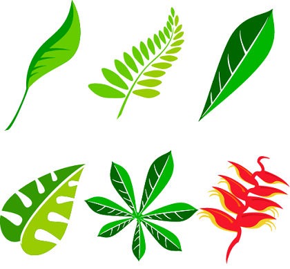 Free Leaf Vector Art Package | Free Vector Graphics | All Free Web ...