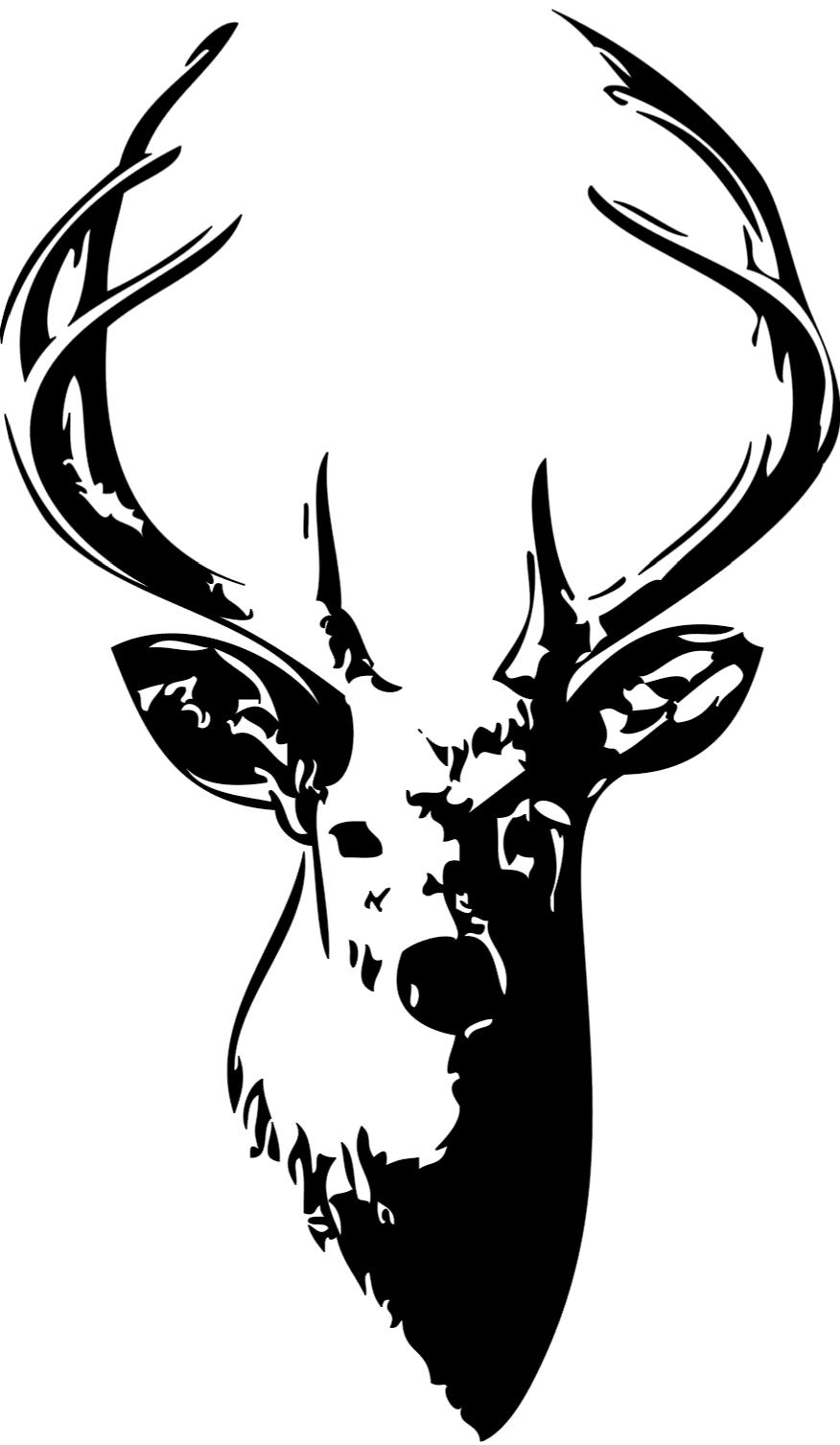 free whitetail deer clipart - photo #48