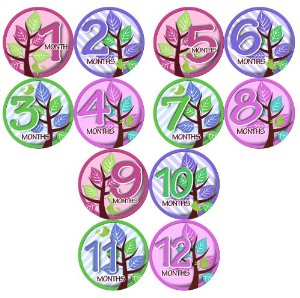 Monthly Onesie Sticker Set of 12 - GIRLS TREES PURPLE ...