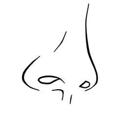 Drawing a cartoon nose