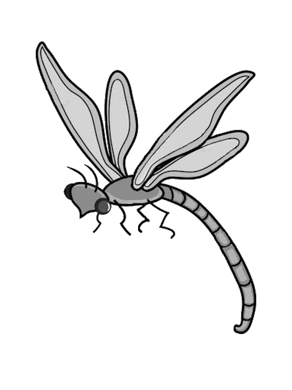 kindle screen savers : dragonflies