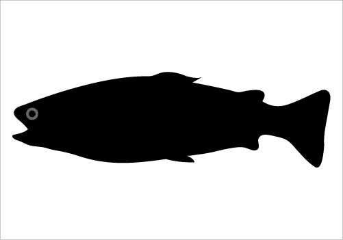 Salmon Silhouette Clipart