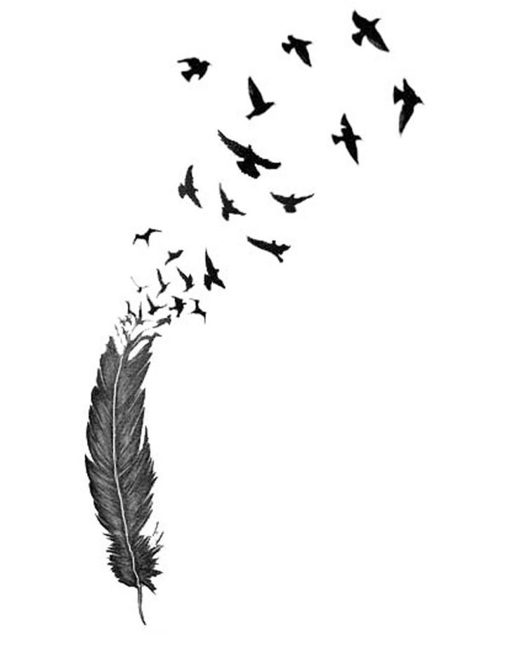 Feather Bird Tattoos | Bird Tattoos ...