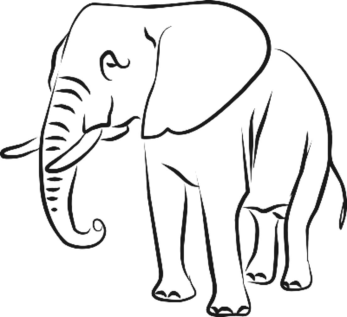 Black And White Elephant Drawing Repin Image Asian D On Pinterest