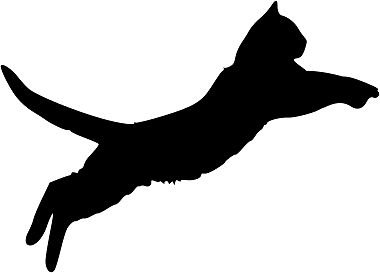 Jumping Cat Silhouette