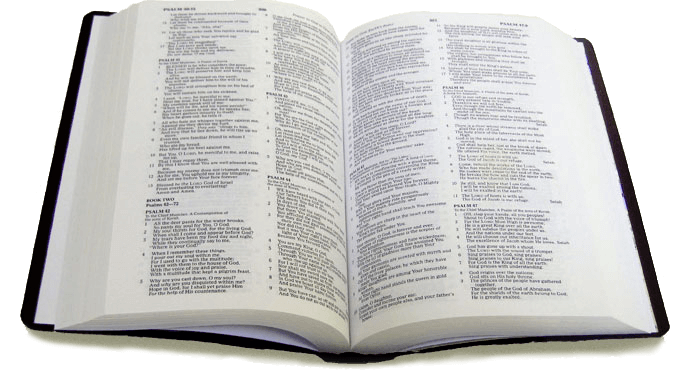 Random Scripture | Random Scripture Generator | Random Bible Verse ...