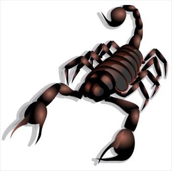 Gambar tribal scorpion clipart free to use clip art resource 2 ...