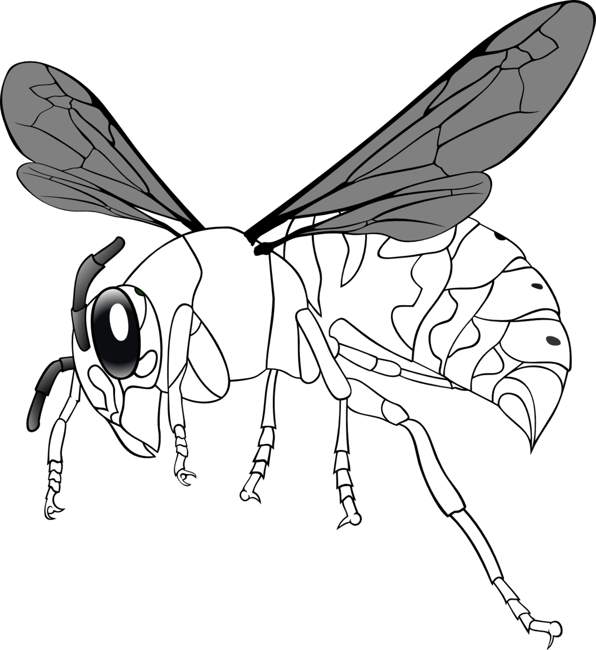 Bee Line Drawing Clipart - Free to use Clip Art Resource