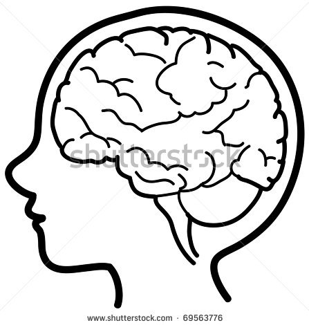 Head And Brain Clipart