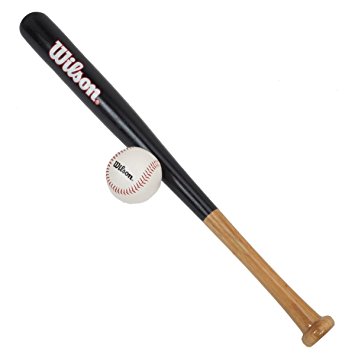 Amazon.com : Wilson Tee Ball Set (Wooden Bat) BaseBall Kit - 24 ...