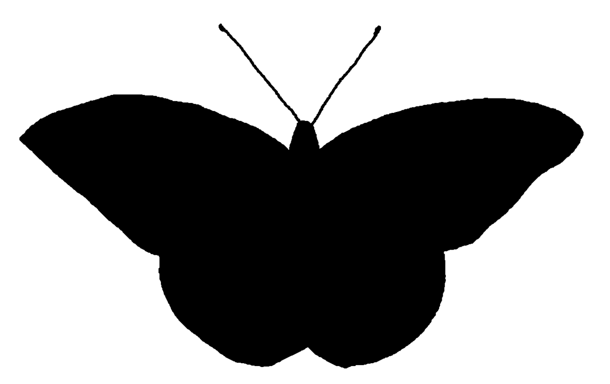 Butterfly Silhouette Png Clipart - Free to use Clip Art Resource