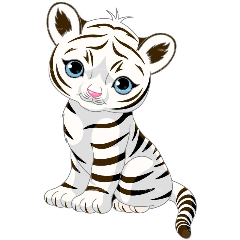 Baby white tiger clipart