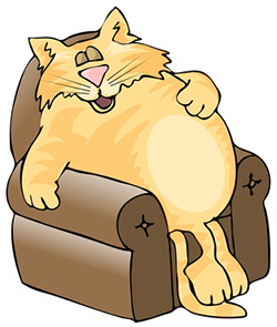 Cartoon Cat Sleeping - ClipArt Best