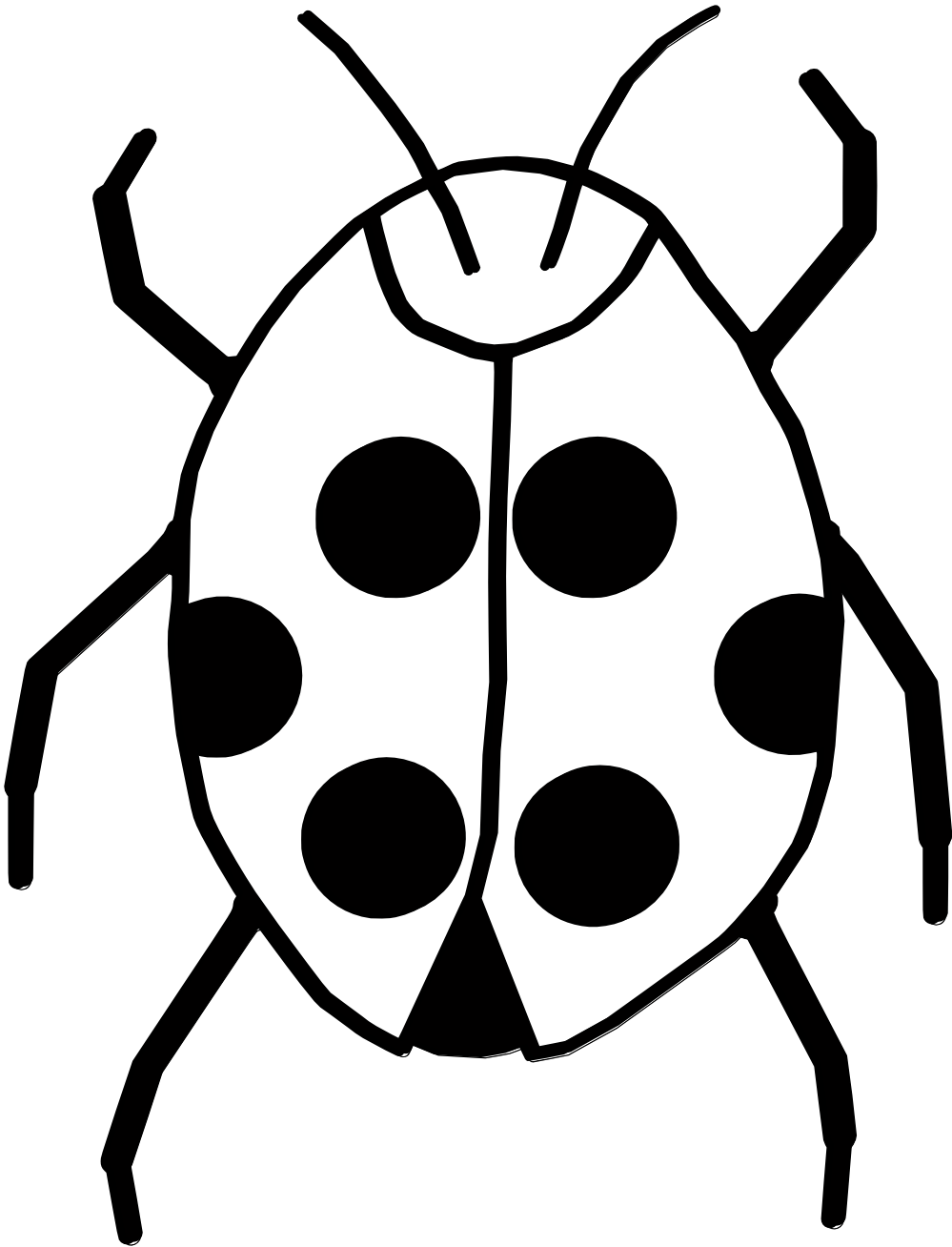 Ladybug black and white clipart