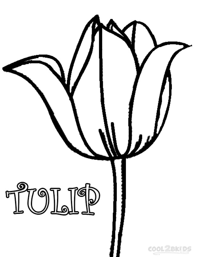 Printable Tulip Coloring Pages For Kids | Cool2bKids