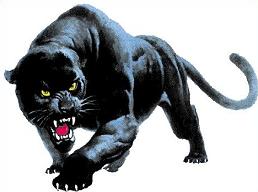 Panther Clipart