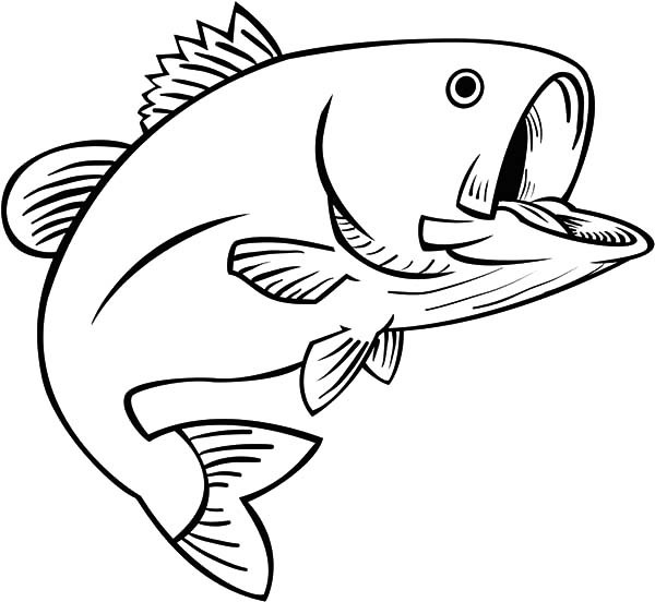 Fishing Fun Bass Fish Coloring Pages | Best Place to Color