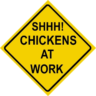 shhh! chickens at work