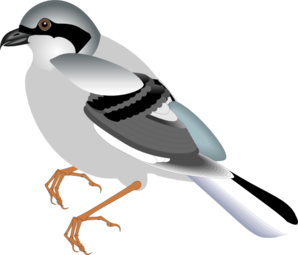Standing Bird clip art - vector clip art online, royalty free ...