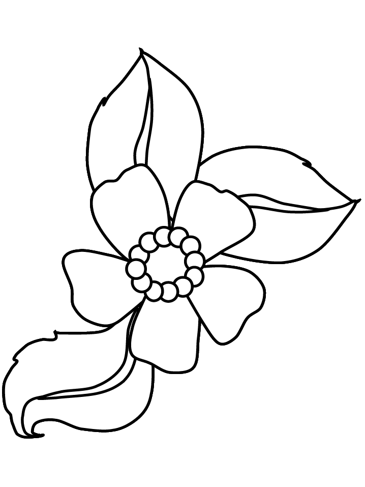 clipart flower coloring page - photo #39